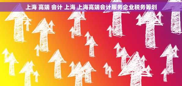 上海 高端 会计 上海 上海高端会计服务企业税务筹划