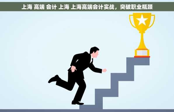 上海 高端 会计 上海 上海高端会计实战，突破职业瓶颈
