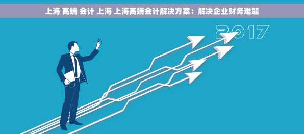 上海 高端 会计 上海 上海高端会计解决方案：解决企业财务难题