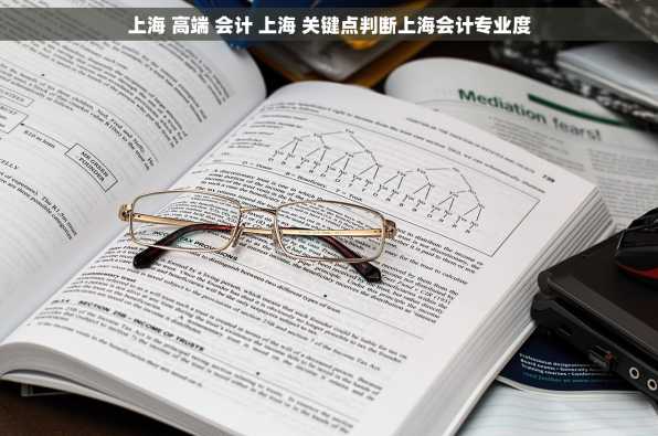 上海 高端 会计 上海 关键点判断上海会计专业度