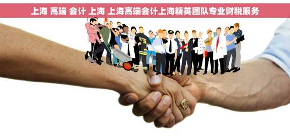 上海 高端 会计 上海 上海高端会计上海精英团队专业财税服务