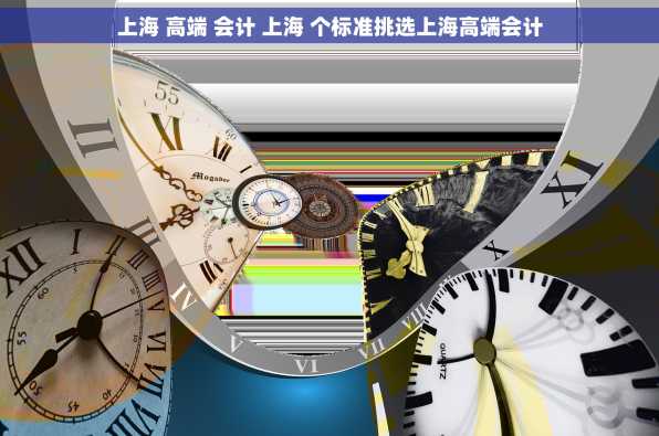 上海 高端 会计 上海 个标准挑选上海高端会计