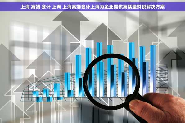 上海 高端 会计 上海 上海高端会计上海为企业提供高质量财税解决方案