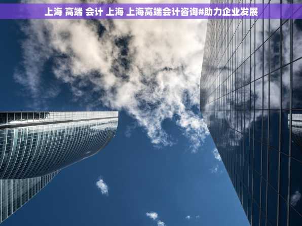 上海 高端 会计 上海 上海高端会计咨询#助力企业发展