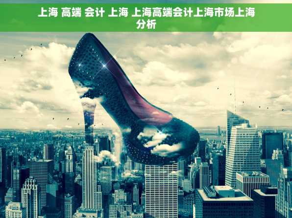 上海 高端 会计 上海 上海高端会计上海市场上海分析