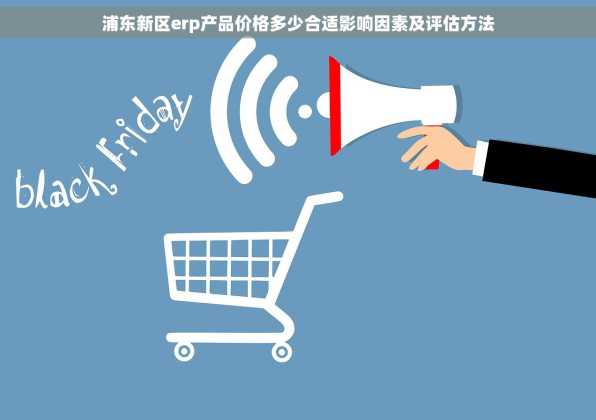 浦东新区erp产品价格多少合适影响因素及评估方法