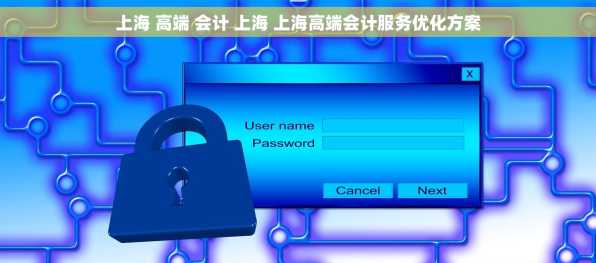 上海 高端 会计 上海 上海高端会计服务优化方案