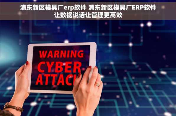 浦东新区模具厂erp软件 浦东新区模具厂ERP软件让数据说话让管理更高效