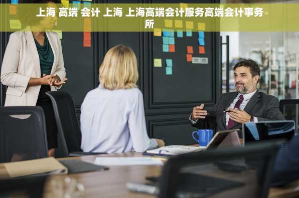 上海 高端 会计 上海 上海高端会计服务高端会计事务所