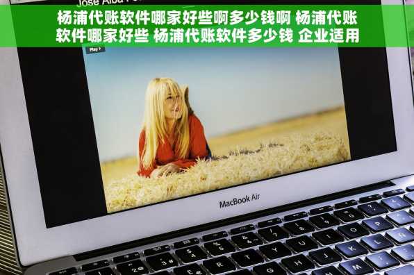 杨浦代账软件哪家好些啊多少钱啊 杨浦代账软件哪家好些 杨浦代账软件多少钱 企业适用性分析与常见问题解答