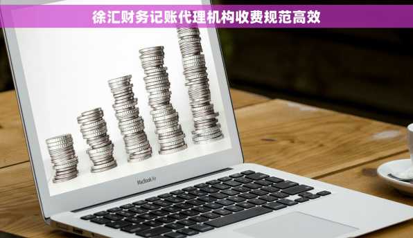 徐汇财务记账代理机构收费规范高效