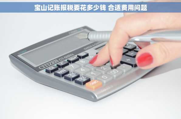宝山记账报税要花多少钱 合适费用问题
