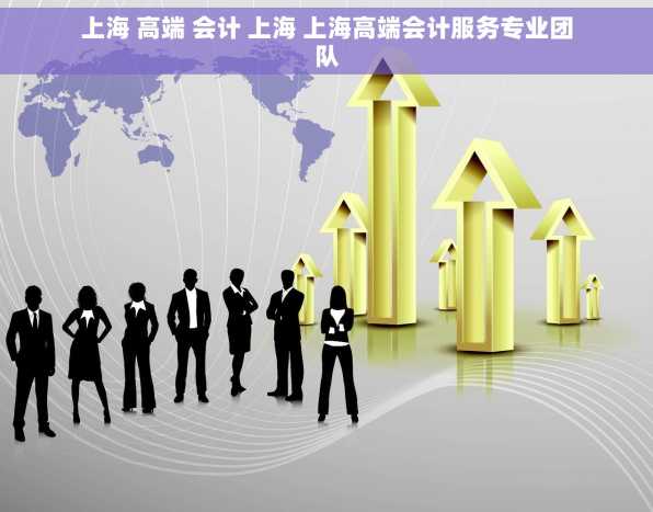 上海 高端 会计 上海 上海高端会计服务专业团队