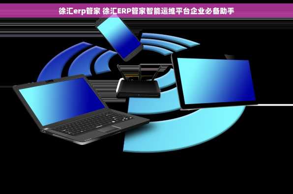徐汇erp管家 徐汇ERP管家智能运维平台企业必备助手
