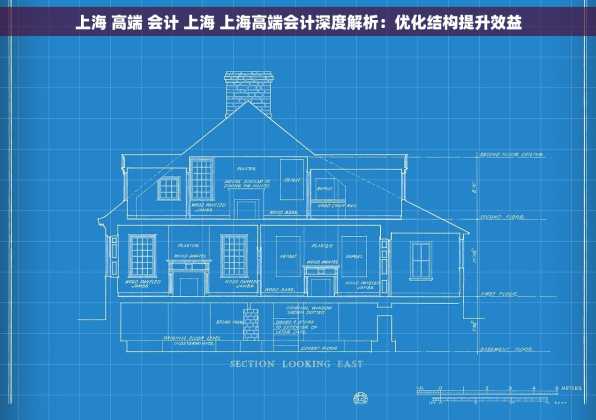 上海 高端 会计 上海 上海高端会计深度解析：优化结构提升效益