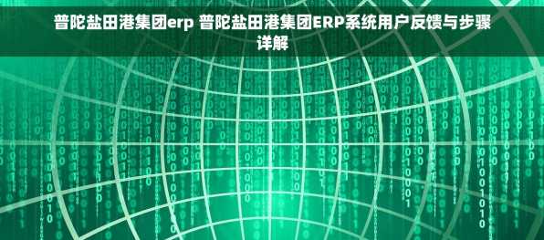 普陀盐田港集团erp 普陀盐田港集团ERP系统用户反馈与步骤详解