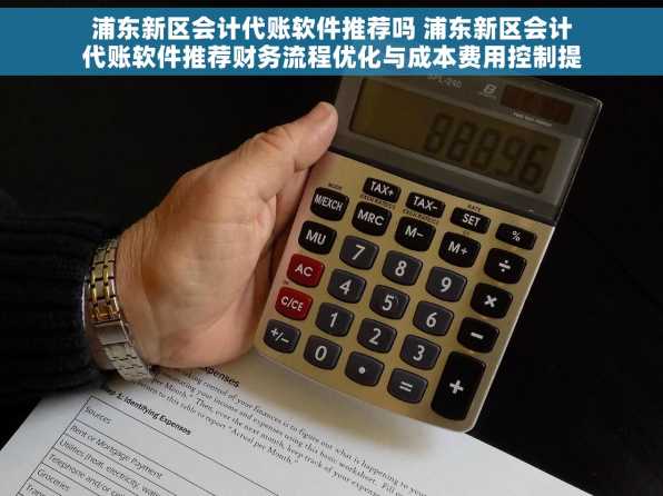 浦东新区会计代账软件推荐吗 浦东新区会计代账软件推荐财务流程优化与成本费用控制提升效率