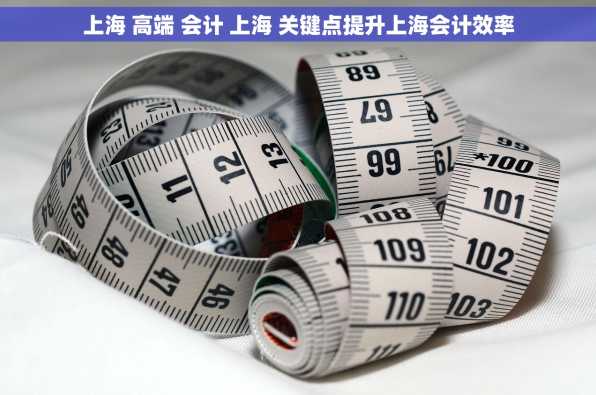上海 高端 会计 上海 关键点提升上海会计效率