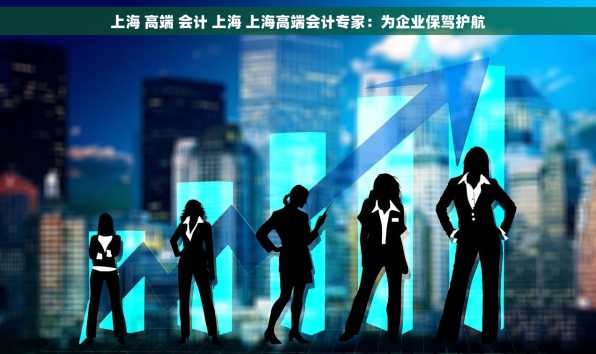 上海 高端 会计 上海 上海高端会计专家：为企业保驾护航