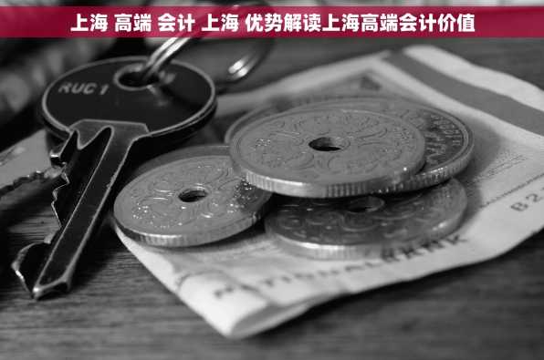 上海 高端 会计 上海 优势解读上海高端会计价值