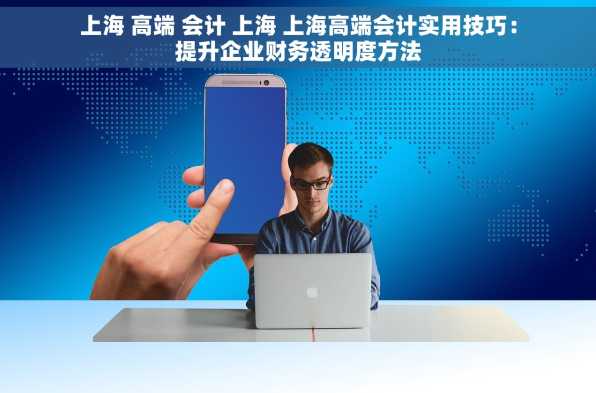上海 高端 会计 上海 上海高端会计实用技巧：提升企业财务透明度方法