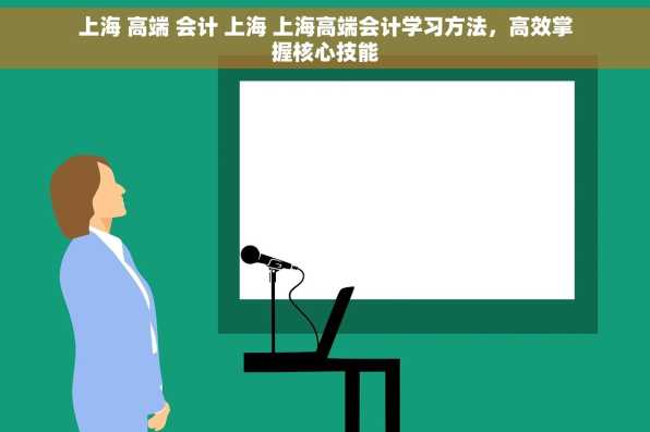 上海 高端 会计 上海 上海高端会计学习方法，高效掌握核心技能