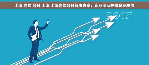 上海 高端 会计 上海 上海高端会计解决方案：专业团队护航企业发展