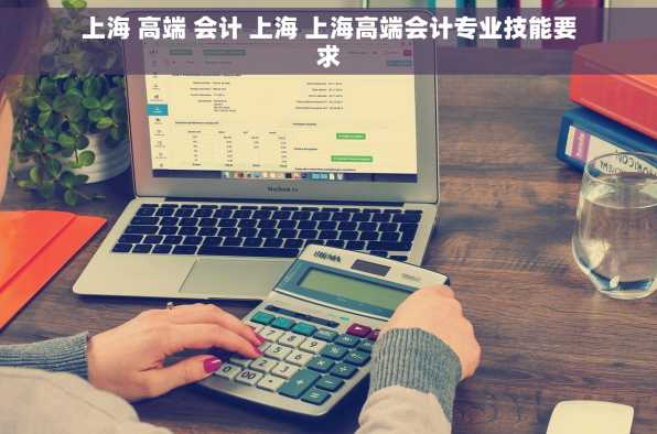 上海 高端 会计 上海 上海高端会计专业技能要求