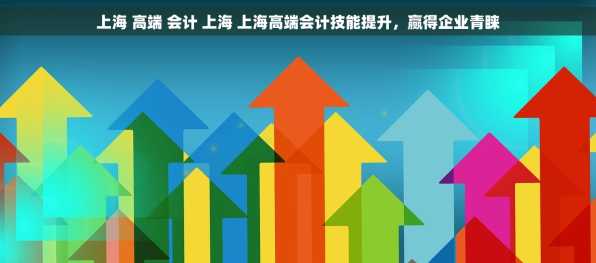 上海 高端 会计 上海 上海高端会计技能提升，赢得企业青睐