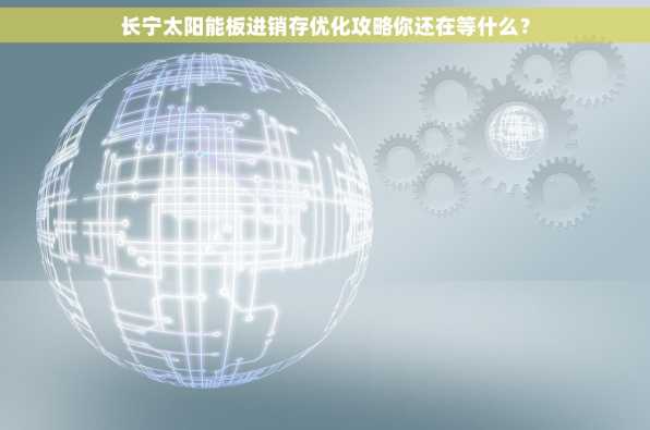 长宁太阳能板进销存优化攻略你还在等什么？