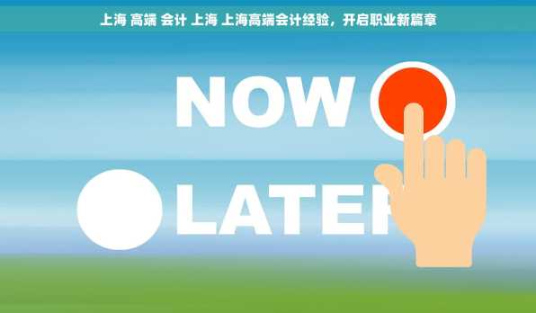 上海 高端 会计 上海 上海高端会计经验，开启职业新篇章