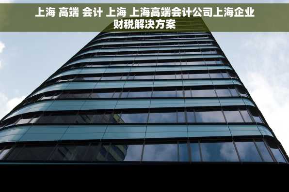 上海 高端 会计 上海 上海高端会计公司上海企业财税解决方案