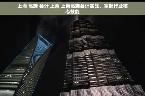 上海 高端 会计 上海 上海高端会计实战，掌握行业核心技能