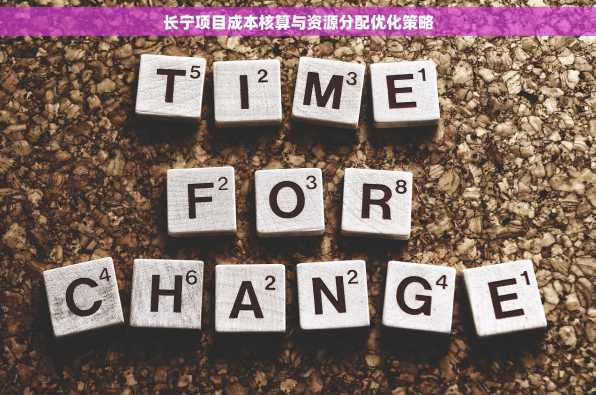 长宁项目成本核算与资源分配优化策略