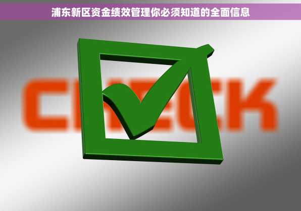 浦东新区资金绩效管理你必须知道的全面信息