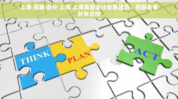 上海 高端 会计 上海 上海高端会计发展趋势，把握未来财务方向