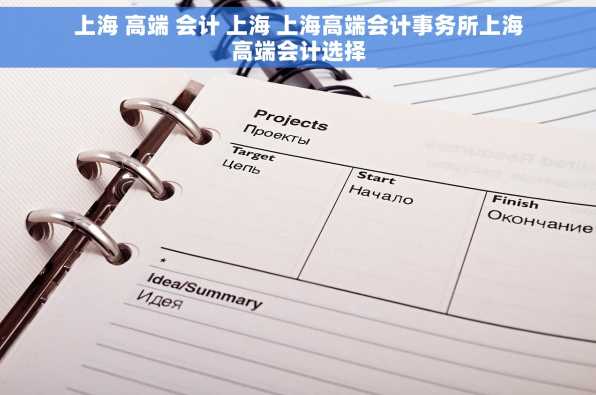 上海 高端 会计 上海 上海高端会计事务所上海高端会计选择
