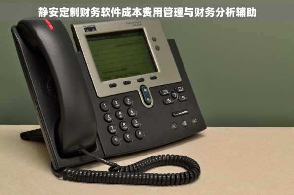 静安定制财务软件成本费用管理与财务分析辅助