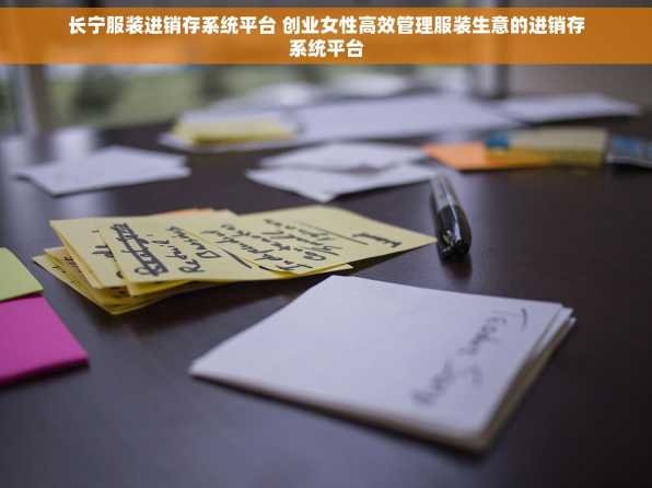 长宁服装进销存系统平台 创业女性高效管理服装生意的进销存系统平台
