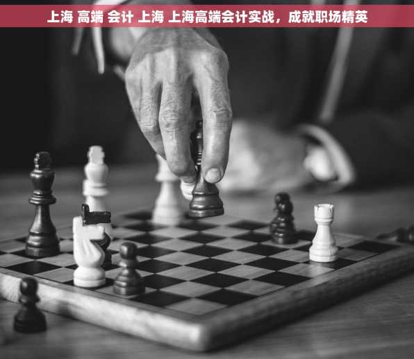 上海 高端 会计 上海 上海高端会计实战，成就职场精英