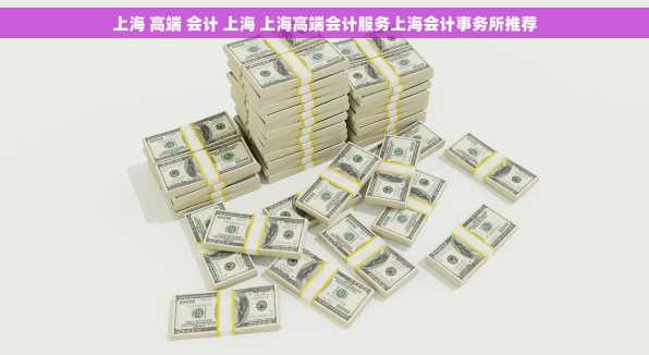 上海 高端 会计 上海 上海高端会计服务上海会计事务所推荐