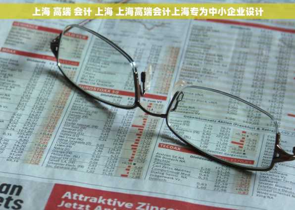 上海 高端 会计 上海 上海高端会计上海专为中小企业设计