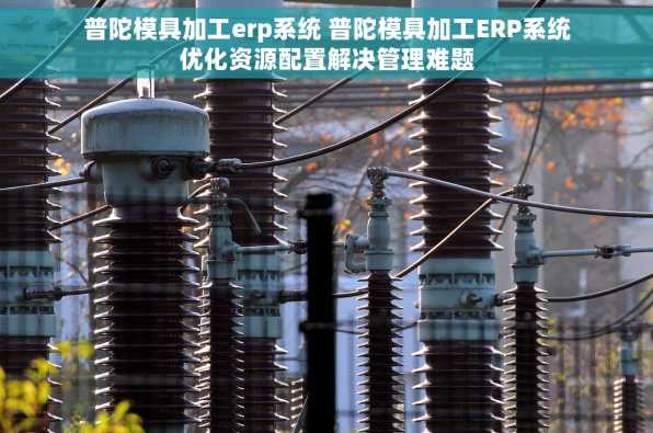 普陀模具加工erp系统 普陀模具加工ERP系统优化资源配置解决管理难题