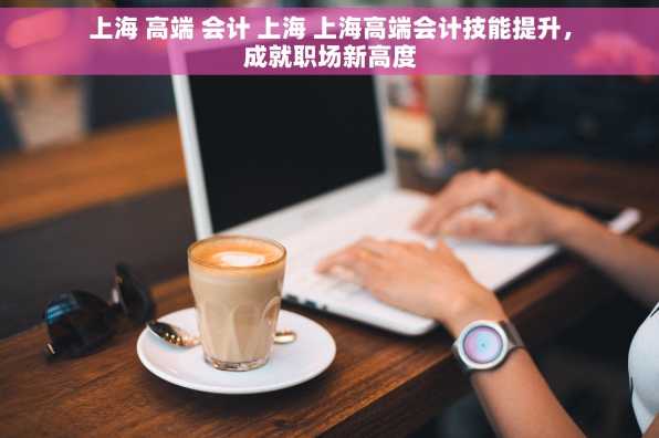 上海 高端 会计 上海 上海高端会计技能提升，成就职场新高度