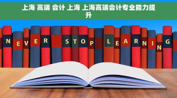 上海 高端 会计 上海 上海高端会计专业能力提升