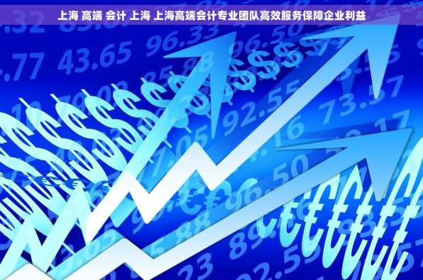 上海 高端 会计 上海 上海高端会计专业团队高效服务保障企业利益