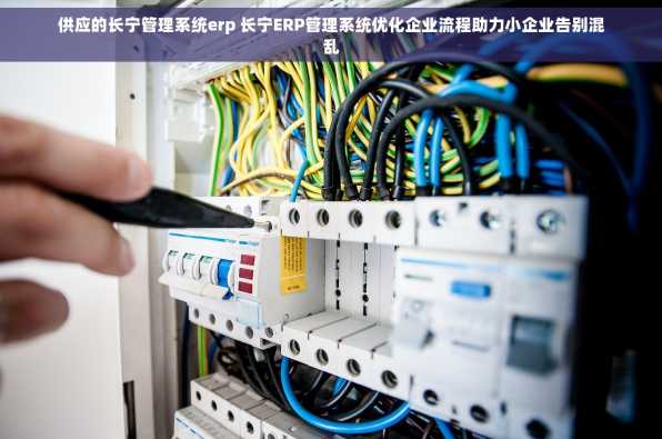 供应的长宁管理系统erp 长宁ERP管理系统优化企业流程助力小企业告别混乱