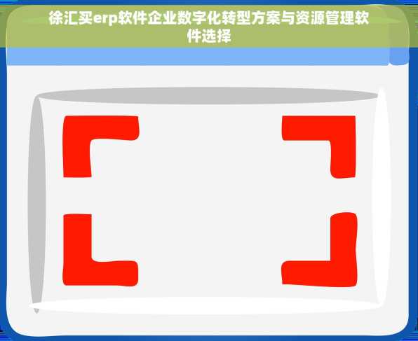 徐汇买erp软件企业数字化转型方案与资源管理软件选择