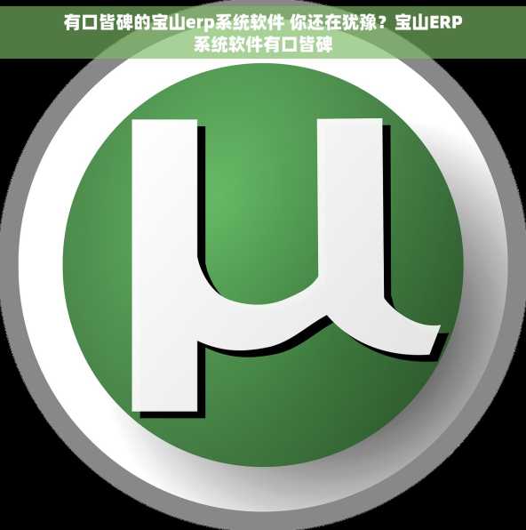 有口皆碑的宝山erp系统软件 你还在犹豫？宝山ERP系统软件有口皆碑
