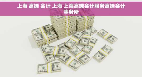 上海 高端 会计 上海 上海高端会计服务高端会计事务所
